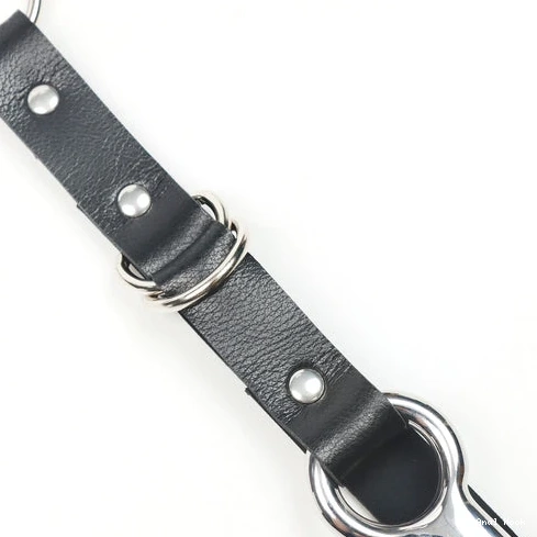 with and Kinky Anal Hook Leash 5853 EverydayUse Collar 0704